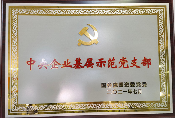 中央直属企业“基层示范党支部”称号